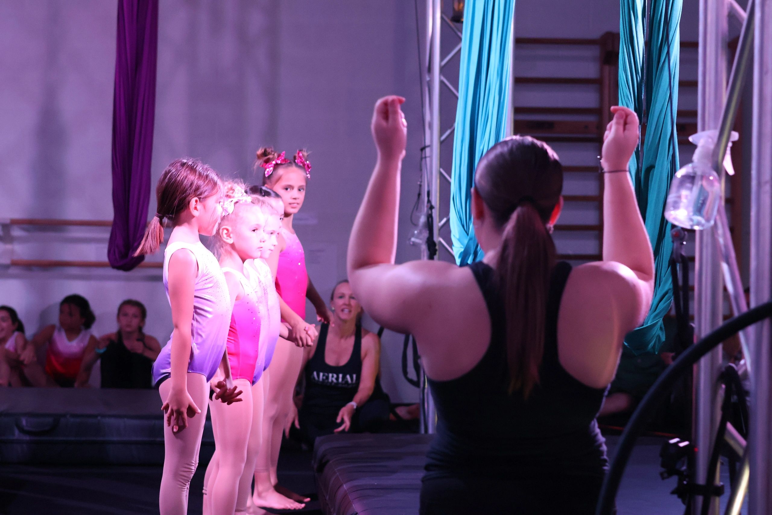 Aerial Ovation performers in costume